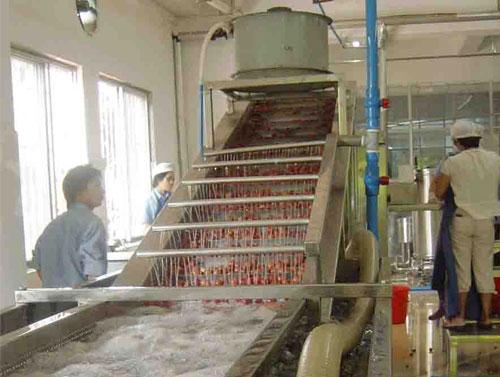 Feeding conveyor