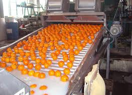 citrus juice production line